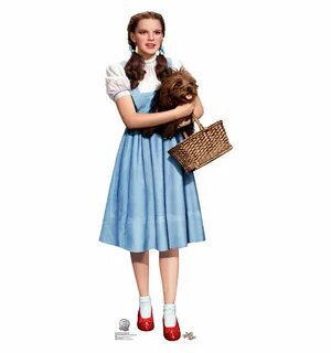 Dorothy wizard of oz, Dorothy costume, Toto wizard of oz