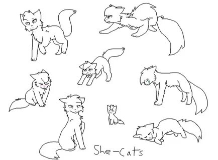 She- Cat Base Related Keywords & Suggestions - She- Cat Base