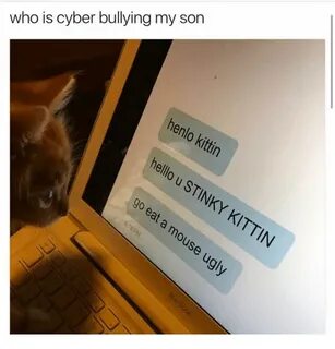 Who Is Cyber Bullying My Son Henlo Kittin Ou Y Ouse KITTIN M