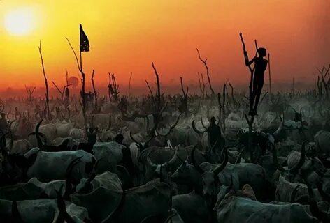 The Dinka People Of Southern Sudan The Diary of my Insomnia