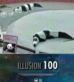 ILLUSION 100 Dark humour memes, Stupid memes, Funny memes