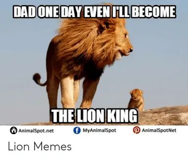 ðŸ�£ 25+ Best Memes About Lion Memes Lion Memes