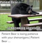 Patient Bear Is Becoming Impatient ICANHASCHEEZBURGER COM Pa