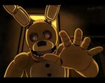 Shh Credit Goes To Pinky Pills Five Nights At Freddy's Amino