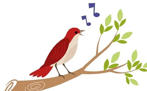 Download Song Bird Pictures for Your Project on Animal Pictu