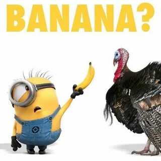 What are u hacine for thanksgiving??? Banana??? Minions funn