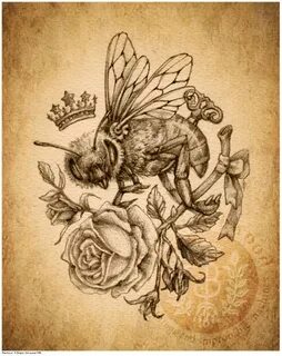Steampunk Rose Drawing Related Keywords & Suggestions - Stea