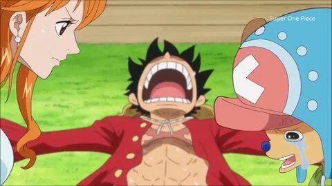 One Piece Episode 784 Choppers Reaction When Luffy Get Poiso