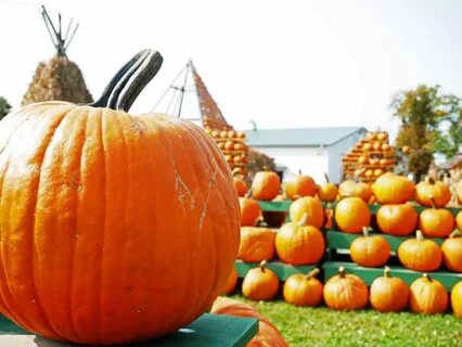 The Best Pumpkin Festivals in the US