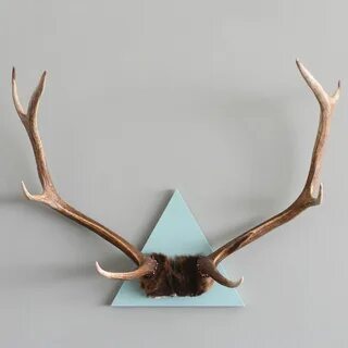 New Triangle Mounted Giant Elk Antlers for We Got Game Serie
