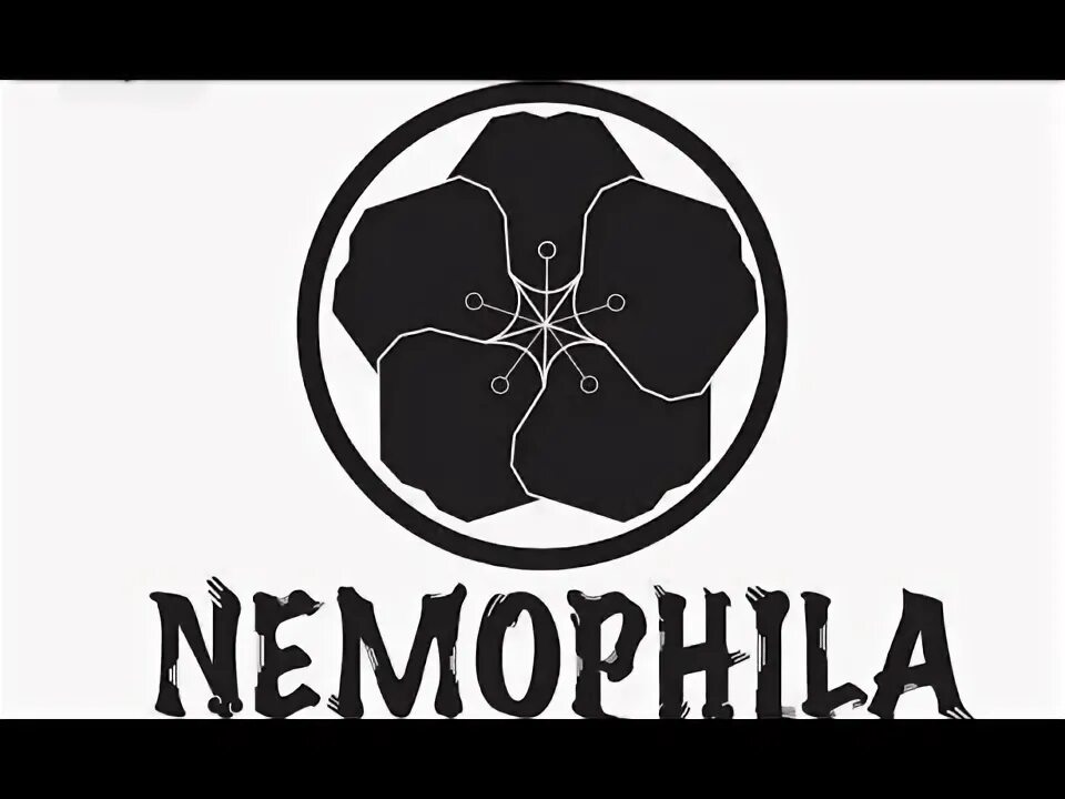 Nueva Banda Nemophila - YouTube