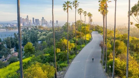 Must-See Attractions in Los Angeles, California