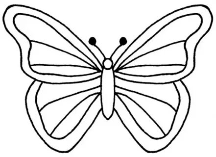 Outline Sketch Of A Butterfly at PaintingValley.com Explore 