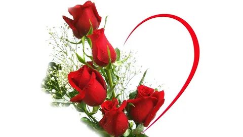 Red Flower Love wallpaper Beautiful love flowers, Love rose 