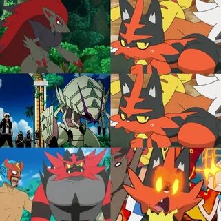 Torracat in the upcoming matchs of Alola league Pokémon Sun 