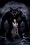 Werewolf Werewolf art, Werewolf, Vampires and werewolves