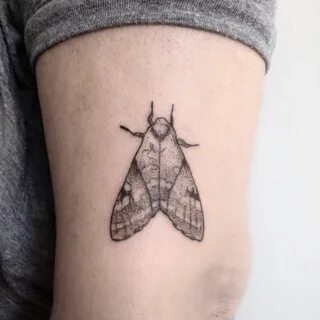 Moth Tattoo Simple - TATTOO LAYOUT PROJECTS