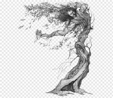 Dryad Art Drawing Sketch, others png PNGBarn