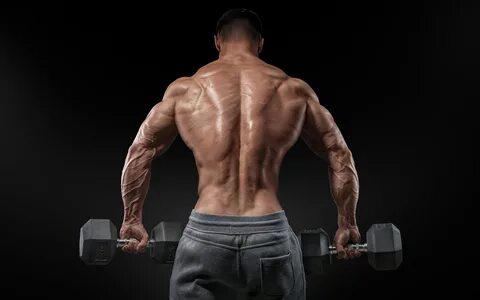 Картинка Мужчины мускулы спины Спорт Гантели Бодибилдинг 384