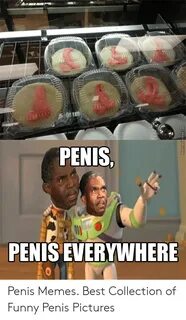 140 PENIS PENIS EVERYWHERE Penis Memes Best Collection of Fu
