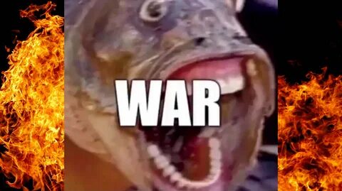 Fish Screaming "WAR" Know Your Meme