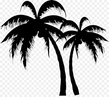 Palm Tree Drawing png download - 1014*889 - Free Transparent