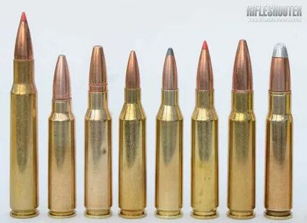 Five Great .308 Based Cartridges - RifleShooter