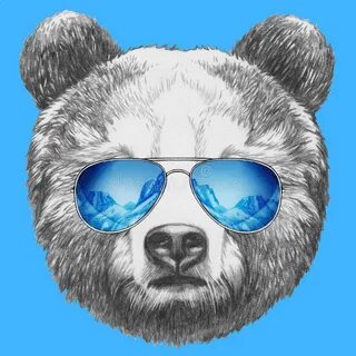 COOL BEAR - YouTube