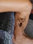 The Ultimate Guide To Shiba Inu Tattoos - My First Shiba Inu