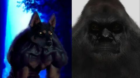 Bigfoot vs The Dogman - YouTube