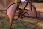 Ageless Bronze Drake - Item - World of Warcraft