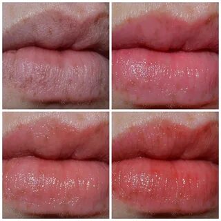 combinación Sanción frecuentemente burts bees tinted lip bal