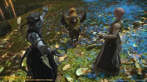 FINAL FANTASY XIV on Twitter: "The next #FFXIV tribe quest w