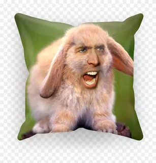 Nicolas Cage Face Png - Nicolas Cage Meme Bunny, Transparent