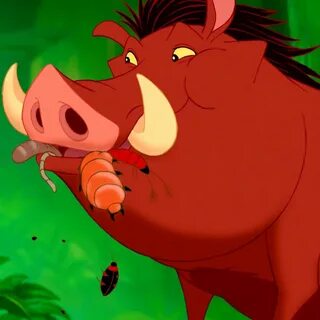 PUMBA The Lion King Walt disney movies, Disney sidekicks, Th