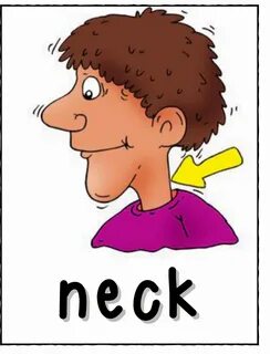 Neck and other clipart images on Cliparts pub ™
