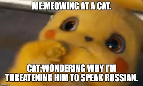 cats scared pikachu Memes & GIFs - Imgflip