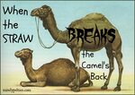 When the Straw Breaks the Camel's Back Mindy Peltier