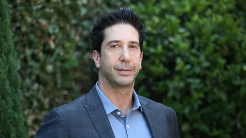 David Schwimmer hilariously responds to his 'lookalike' stea