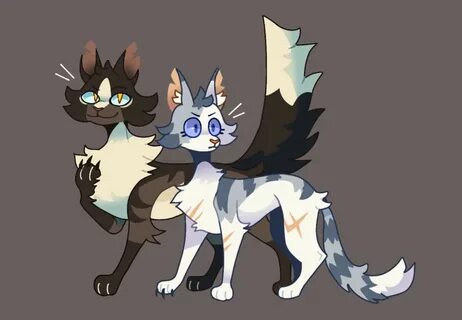 Hawkfrost and Ivypool Warriors Amino