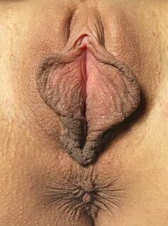 Just pictures of beautiful vaginas of all shapes and colors
