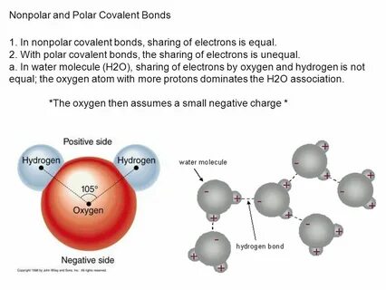 Ch. 2 Basic Chemistry Chemistry is important to biology beca