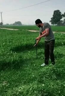 Cutting grass - GIF on Imgur