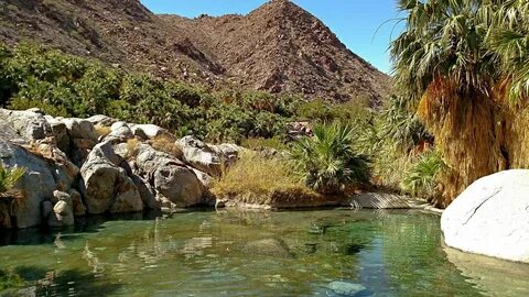 Guadalupe Canyon Hot Springs - The Most Unique Camping in Ba