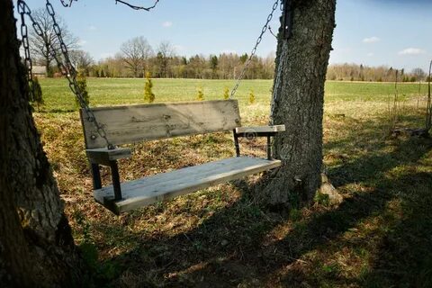 Comfortable Swing Bench Two Trees Photos - Free & Royalty-Fr