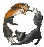 Fox And Wolf Tattoo