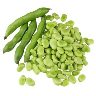 30 Broad Bean Seeds (fava beans), Organic and Fresh - Vegeta