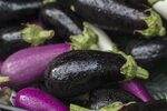 Italian Man Acquitted for Taking Eggplant 9 Years Ago
