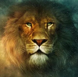 ♥ ♥ ♥# LEO Animals, Narnia, Lion of judah