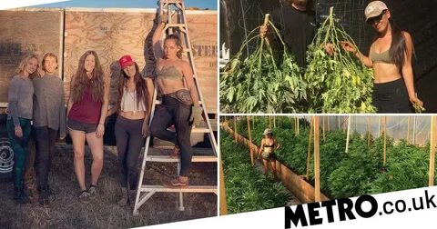 Women move off-grid and grow cannabis on an animal-filled fa